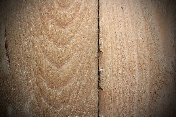 crack on old wooden plank, interesting wood texture with vignette for your architectural design
